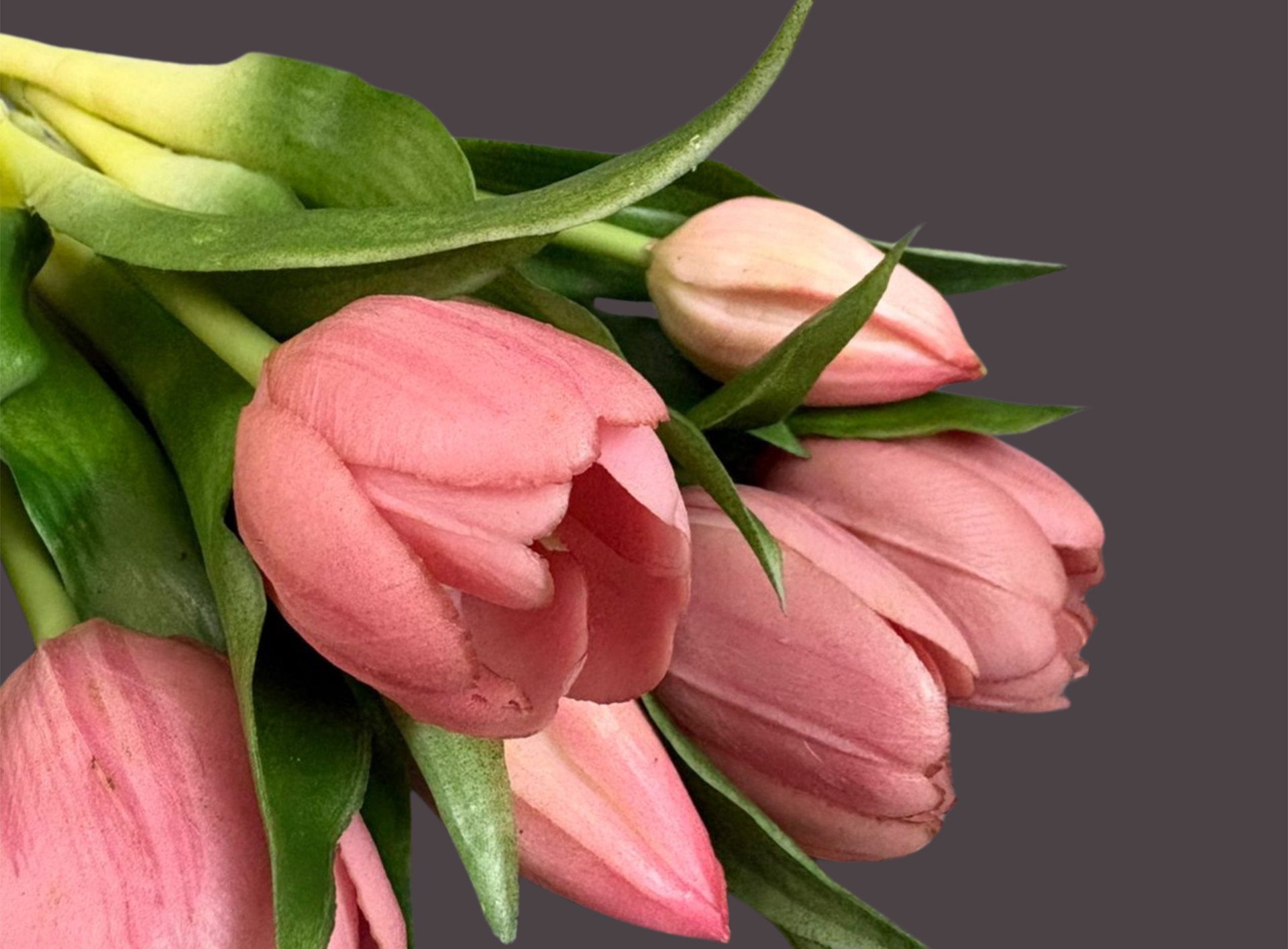 Artificial flower stem with natural-looking finish for décor