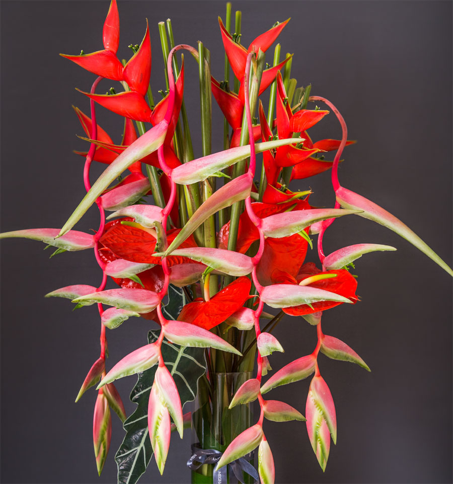 Beautiful white orchids bouquet arranged for luxury gifting