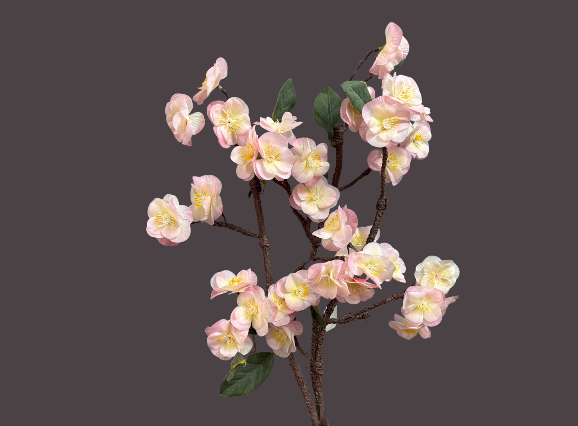 Pink cherry blossom stem with delicate blooms for elegant décor