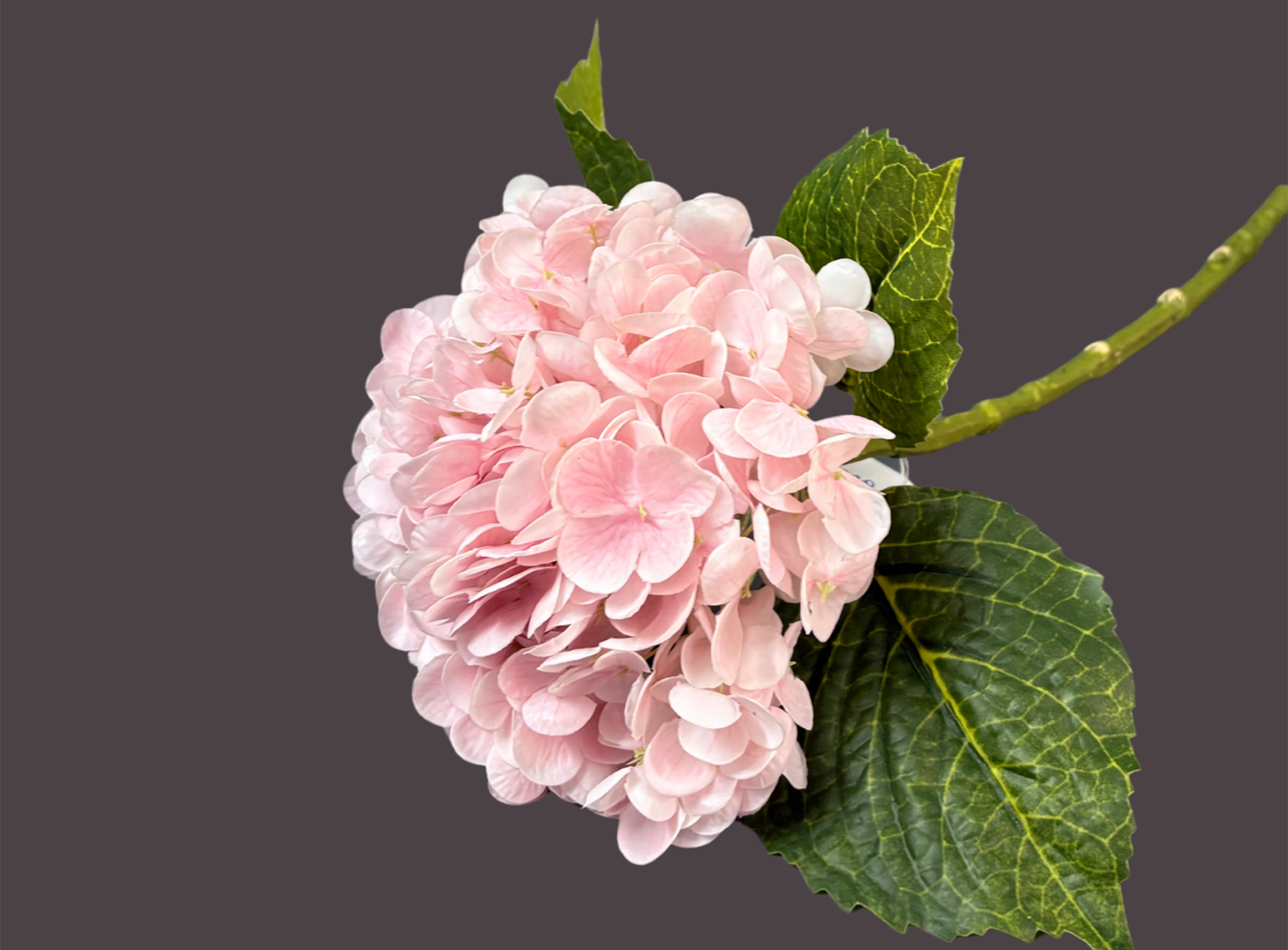 Fresh flower stemps prepared for custom floral styling